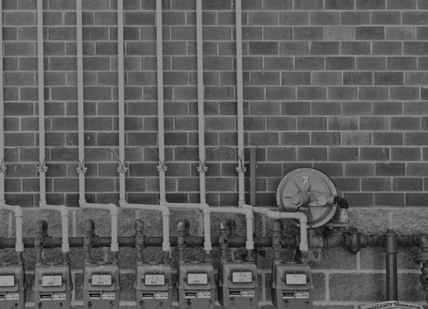 PPM Blog Feature (1)-1-2